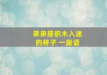 弟弟搭积木入迷的样子 一段话